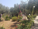 Holy Land Pilgrimage